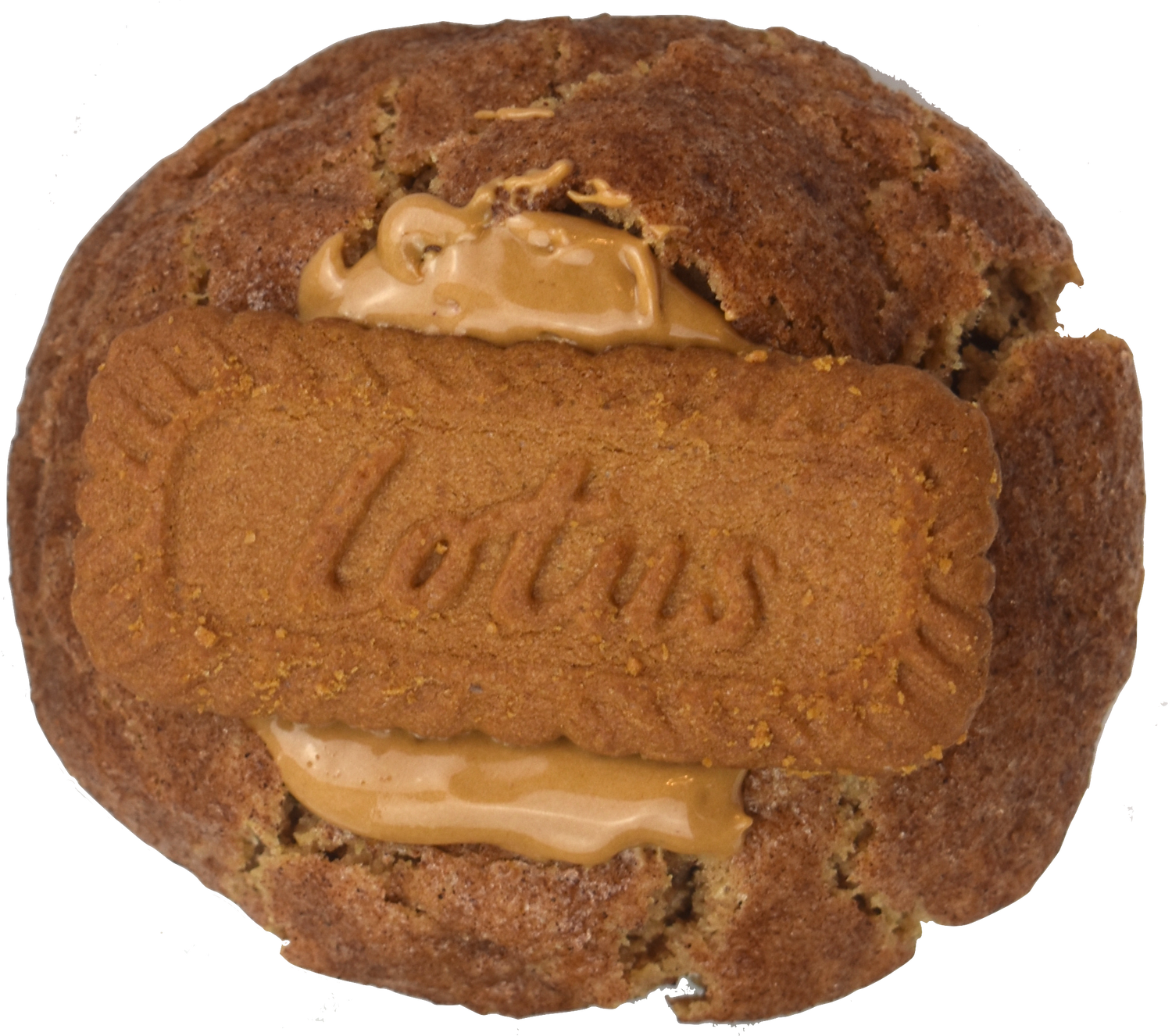 Super Snickerdoodle